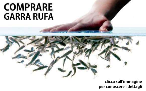 Centri Fish Therapy in Italia