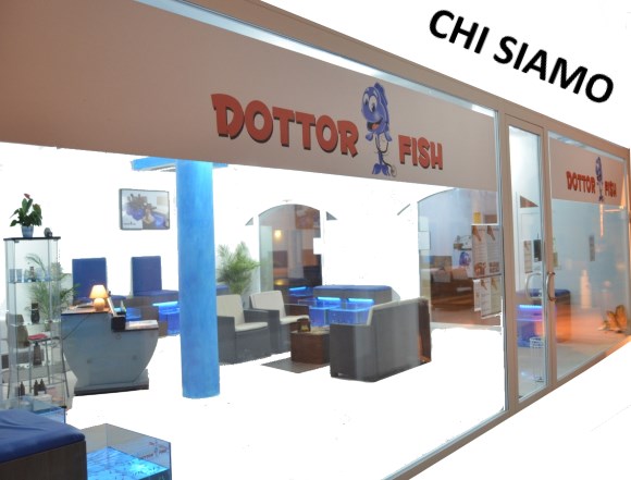 Apri il tuo centro Garra rufa Fish Therapy Spa