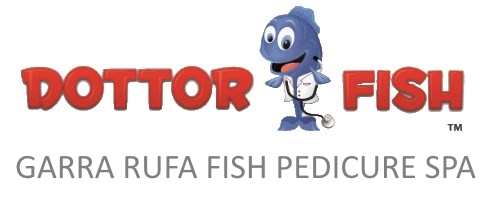Dottor Fish Garra rufa Fish Therapy Spa